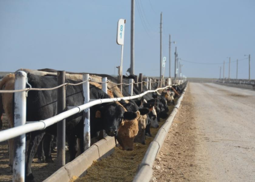 September feedlot placements were up 6.1%.