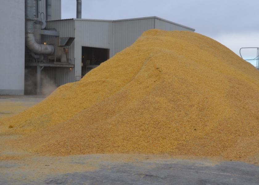 What Corn Yield Potential Means For Feeders