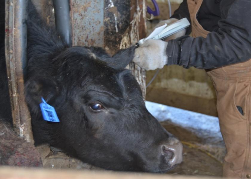 While over-the-counter livestock antibiotics are set to require a prescription as of June 11, there will also be updates to FDA guidelines and product labels regarding reimplantation of growth-promoting implants.