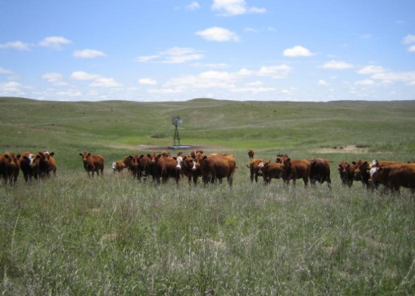 “There is no such thing as low-carbon beef. No food choice results in more greenhouse gas emissions than beef,” says the Environmental Working Group's Scott Faber, after petitioning USDA to prohibit such beef claims.