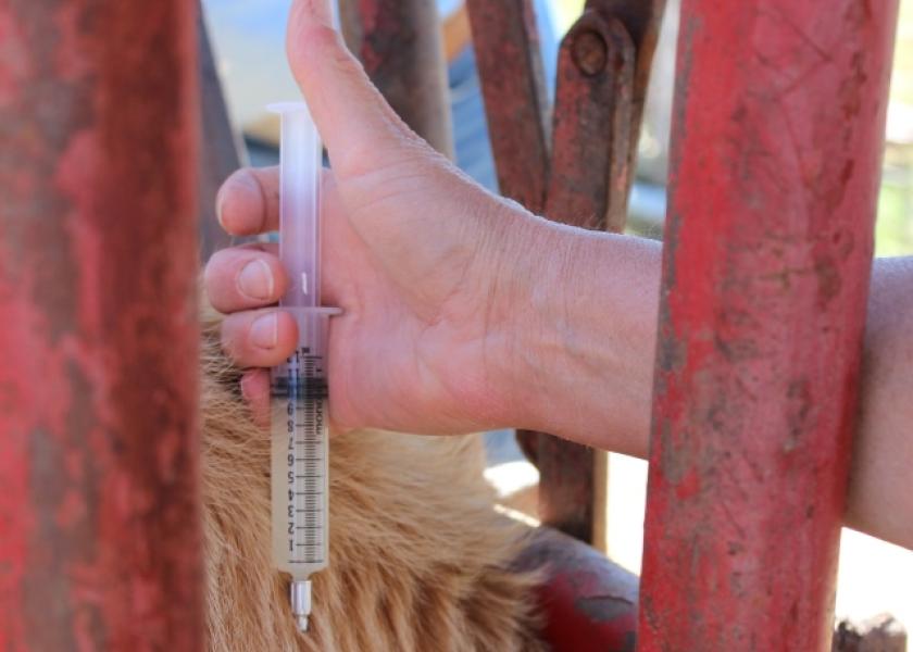 Animals receive shots for various reasons throughout their life, just like people. Regardless of why the animal received a shot, it is important to dispose of the needle in a safe way.