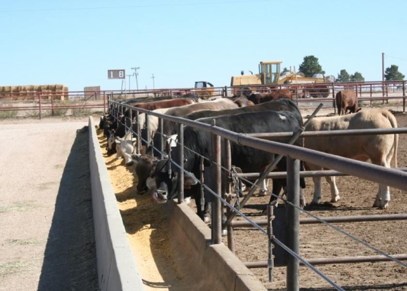 FDA Clarifies Monensin Safe for Cattle, Goats Drovers