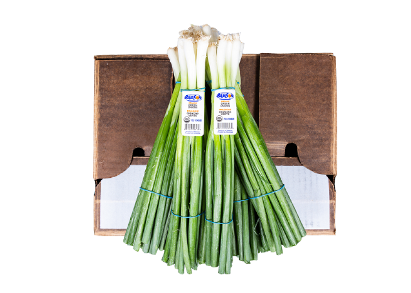 Baja Son Growers double organic green onion production Produce Market