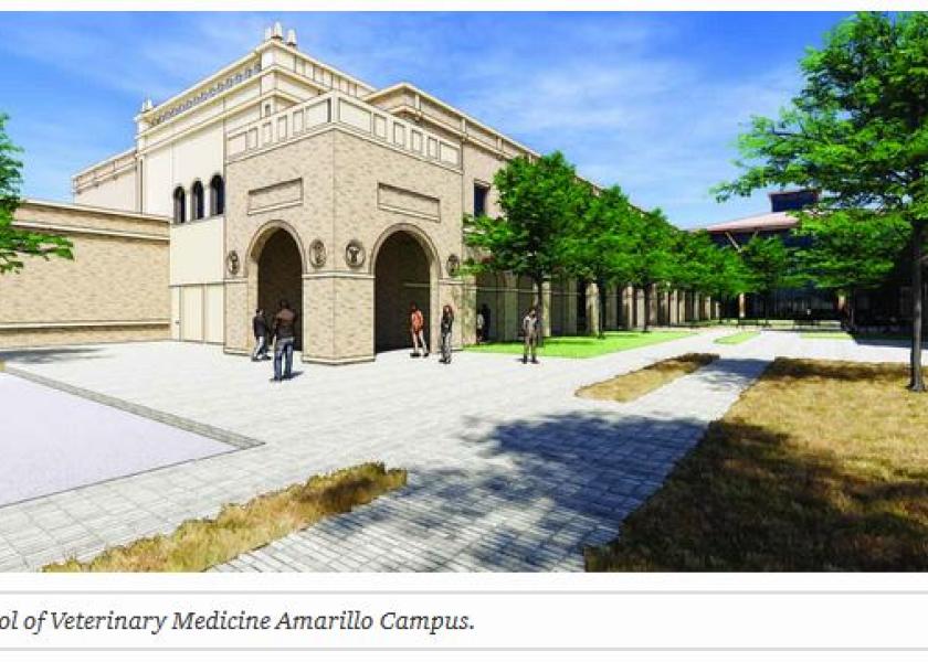 The new school of veterinary medicine is taking shape.