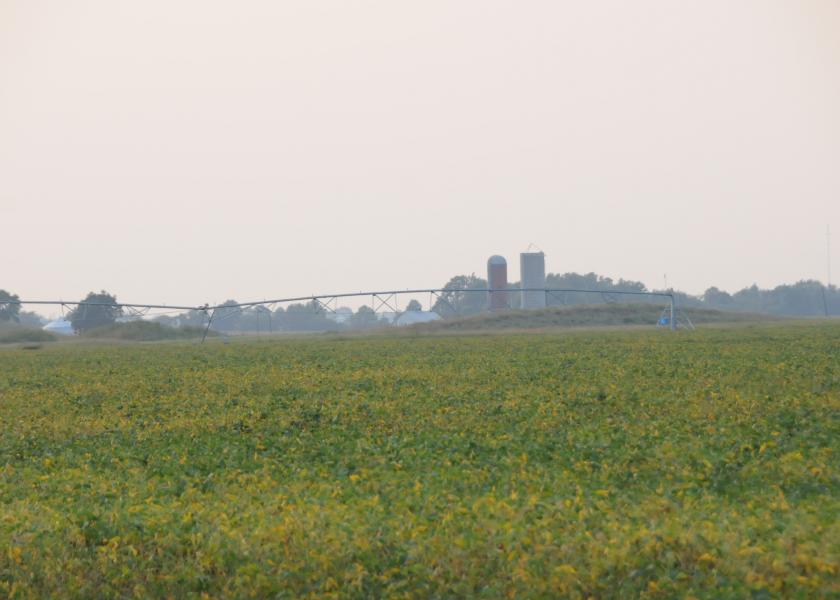 BASF Launches Soybeans With 3 Herbicide Traits, Farmers Can Only Use 2