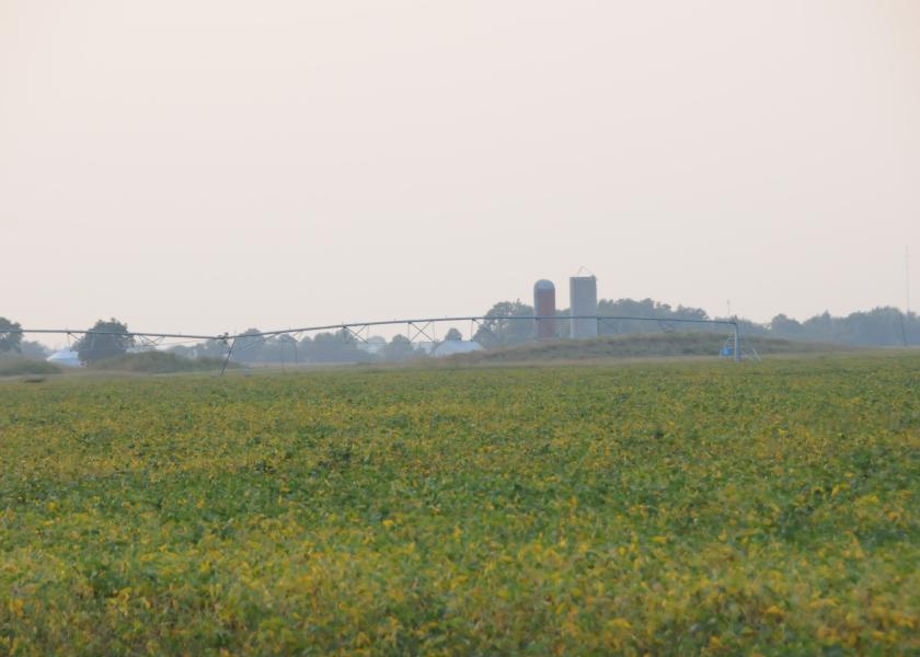 New Biofungicide Fights White Mold