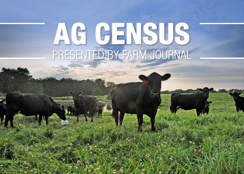 NASS reports 36% of U.S. farms have beef cows, with the average herd size 43.5 head. Smaller operations, however, are declining.