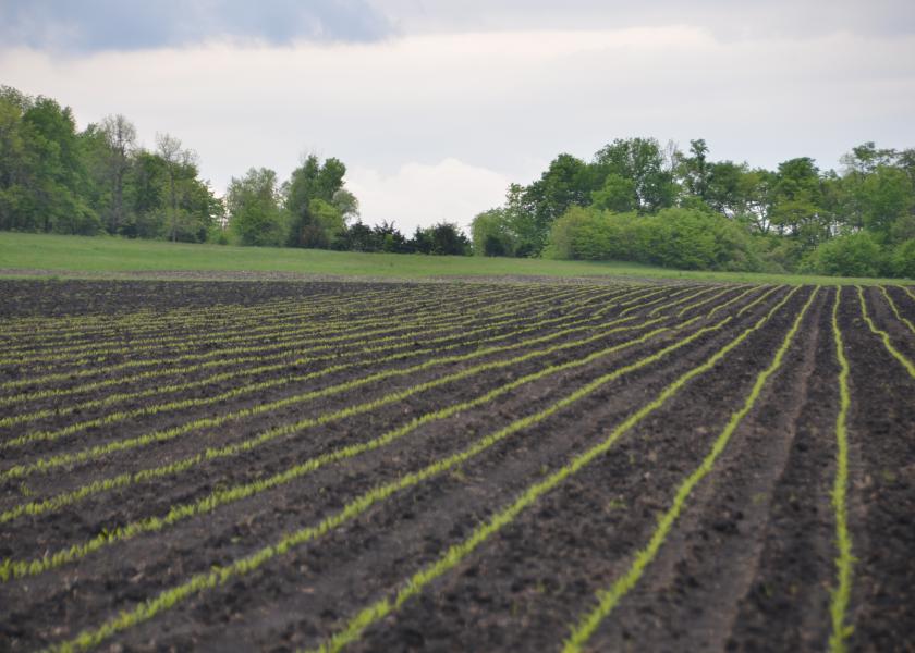 USDA Corn Yield Estimate Still Too High