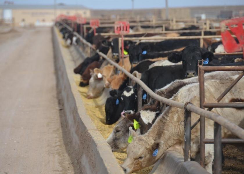 Despite an uneven cash trade, analysts say fed cattle supplies remain manageable.