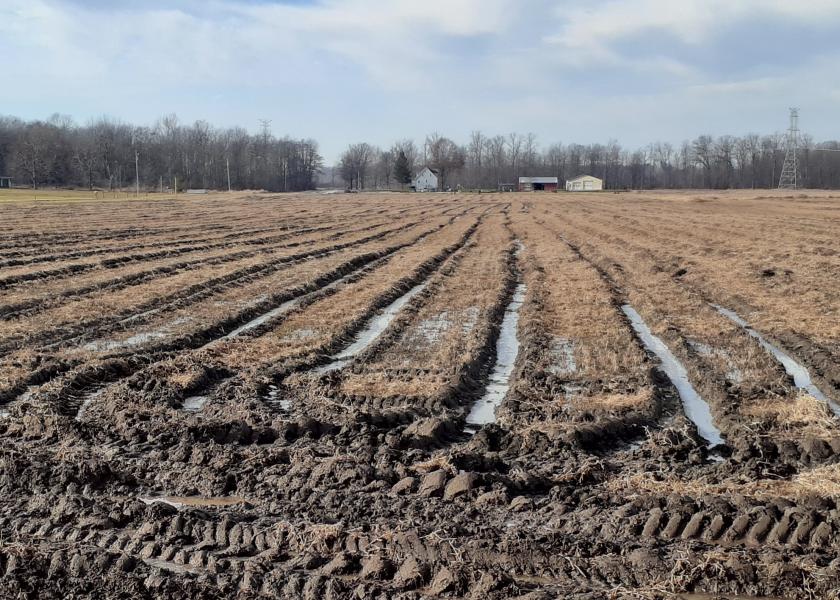 Deep ruts will take years to fix, but you can get started on the right foot this year.