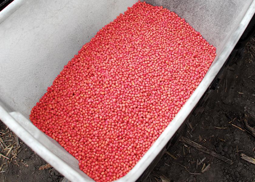 Soybean Seed: Lower Supply and Quality