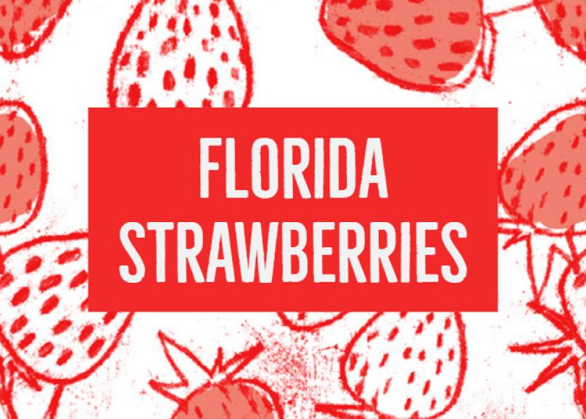 Florida strawberry growers cope with challenges