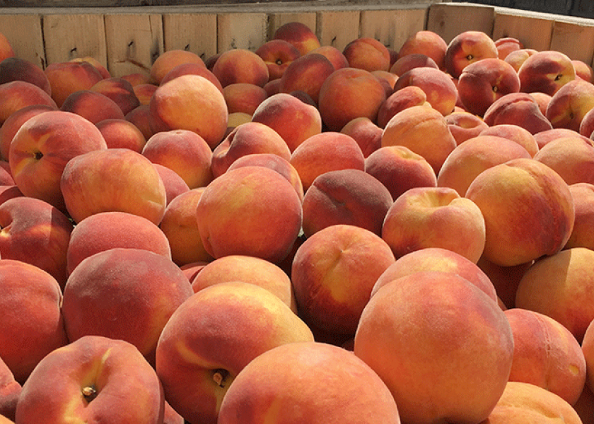 New Jersey’s ready for peach season