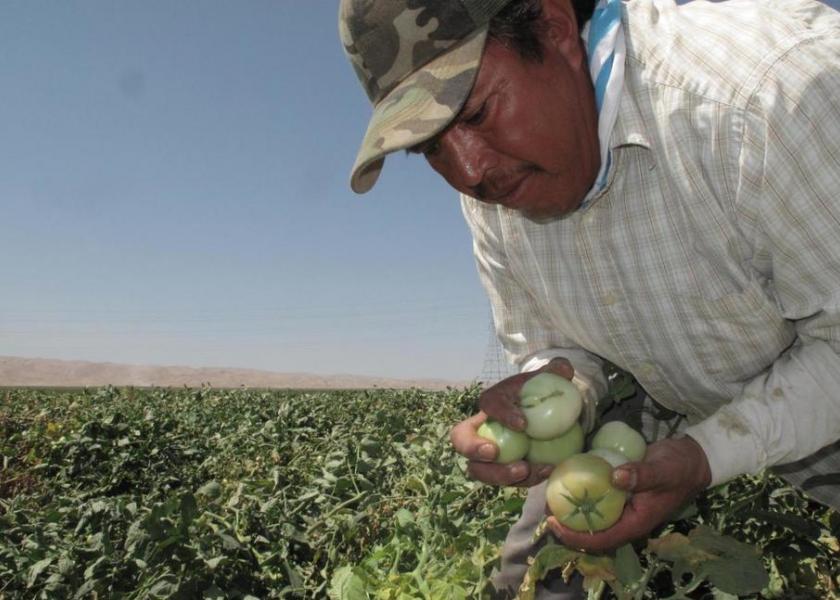 State ag officials are encouraging federal agencies to help relieve farm labor shortages.