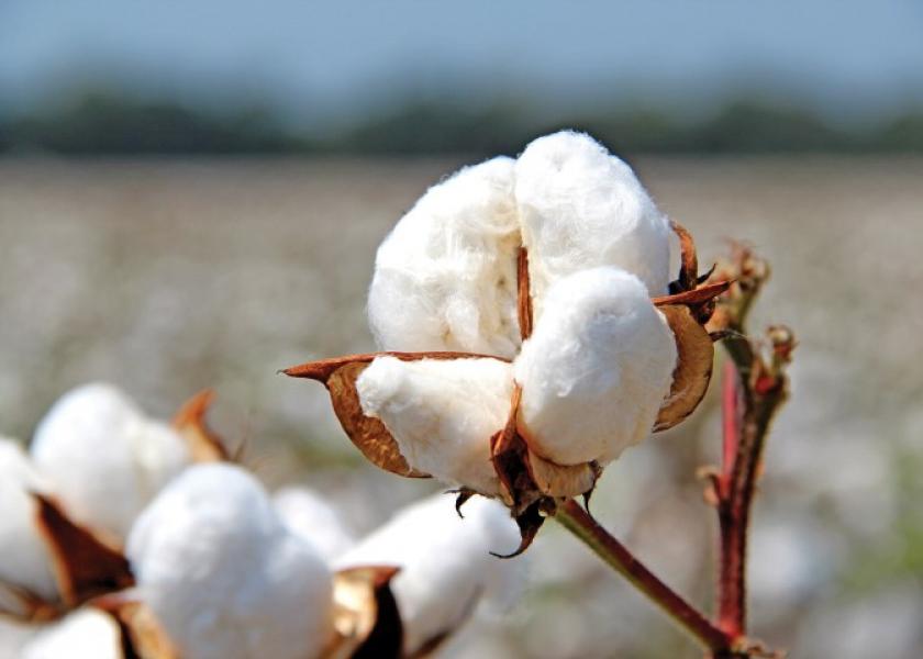 Cotton futures rose on Wednesday supported by concerns that dry weather in West Texas, the largest U.S cotton-producing region, may weigh on U.S supplies of the crop.