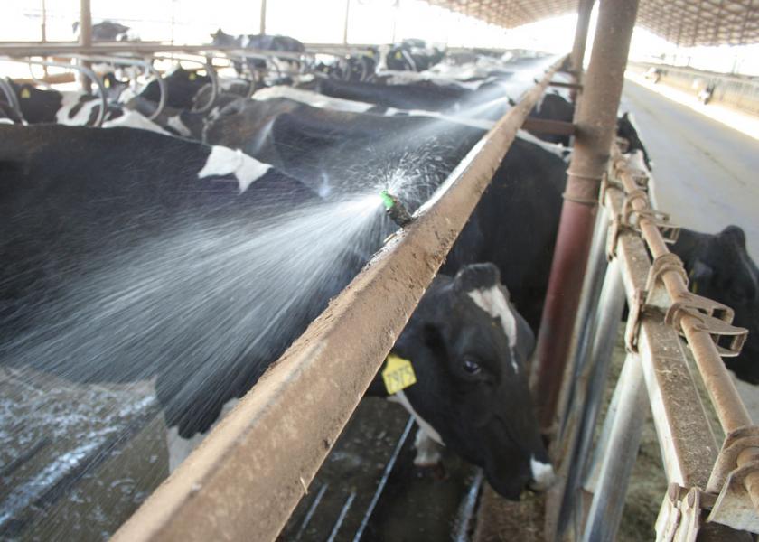 When utilizing an evaporative cooling system, there are several factors to keep in mind to cool cows correctly and efficiently. 