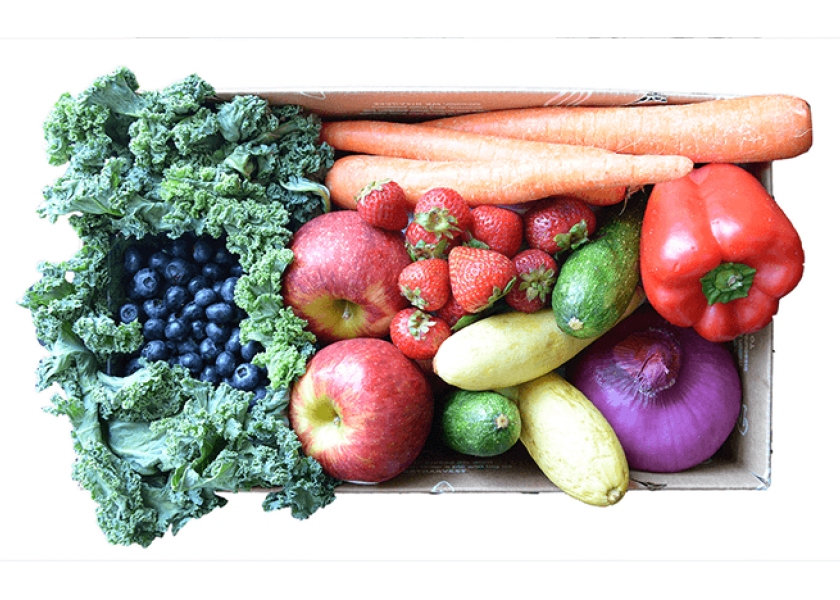 ‘Ugly’ produce delivery service Hungry Harvest continues to grow The