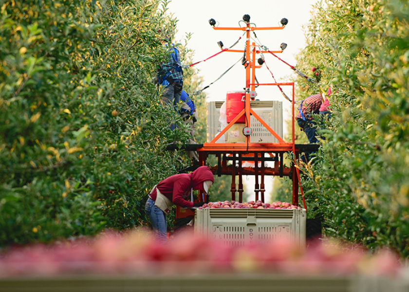 5 Great Tools for Cutting Apples - Stemilt, Washington