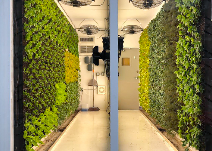 New York grocery store builds vertical, soil-based greens farm