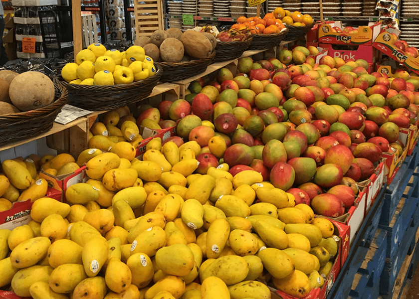 Brazil Begins Mango Season Haiti Volumes Down The Packer