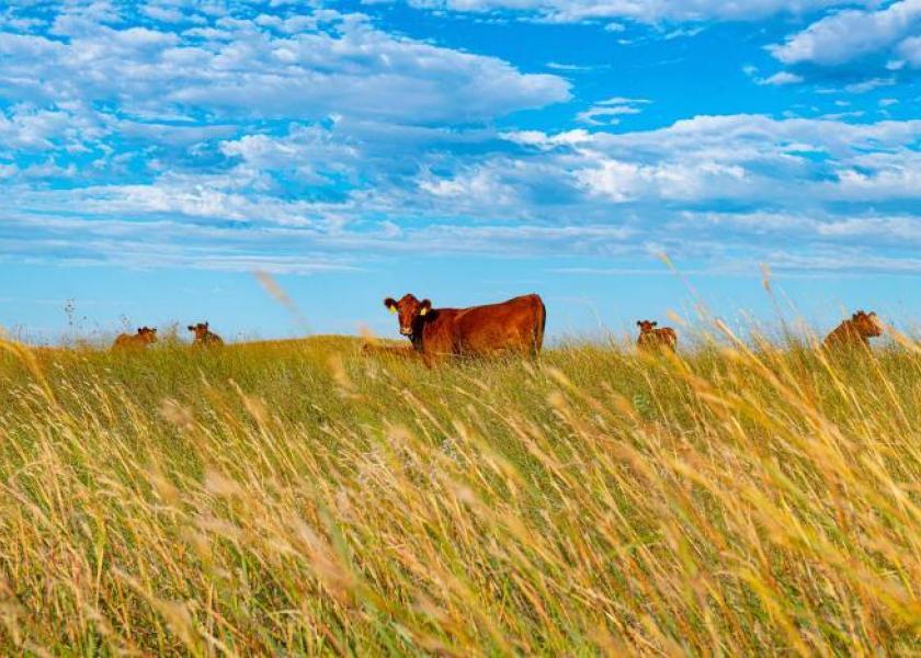 Nebraska Sandhills