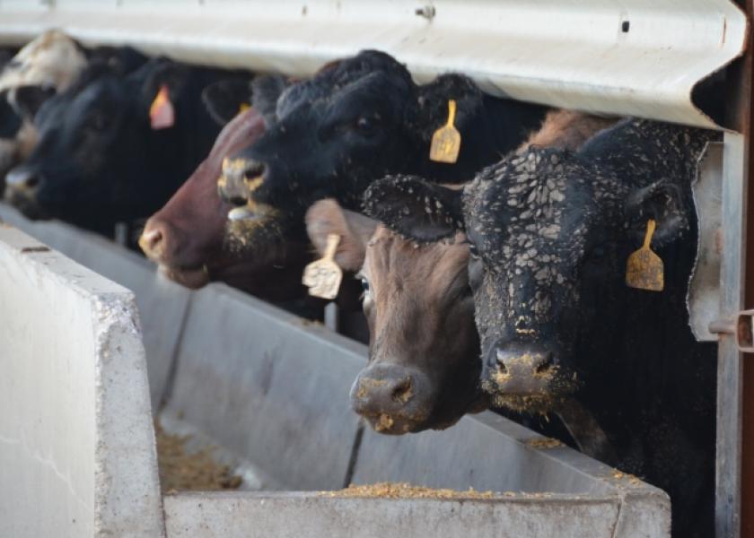 Cattle feeding margins declined $37 per head on a $2 retreat in fed cattle prices.
