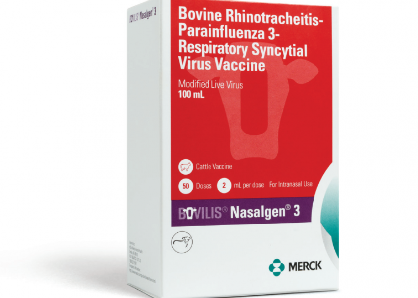 Merck Animal Health Launches Nasalgen 3 | Bovine Veterinarian