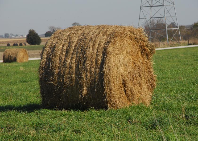 Large Round Bales Lose Value During Storage