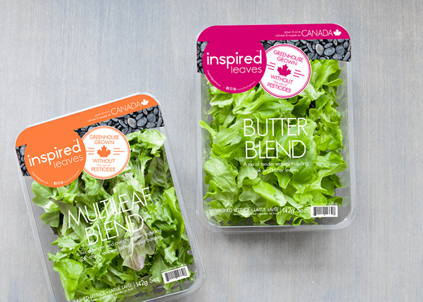 Known for its living lettuce line, The Star Group is debuting Inspired Leaves, a line of five greenhouse-grown salad mixes.