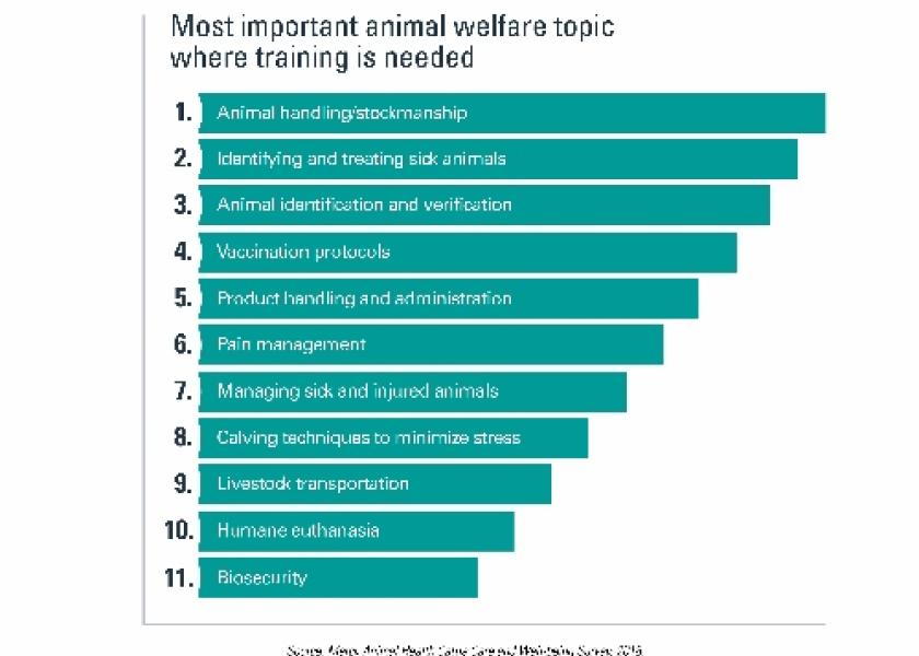 New Survey Identifies Needs and Gaps in Cattle Care and Well-being | Bovine Veterinarian New Survey Identifies Needs and Gaps in Cattle Care and Well-being | Bovine Veterinarian