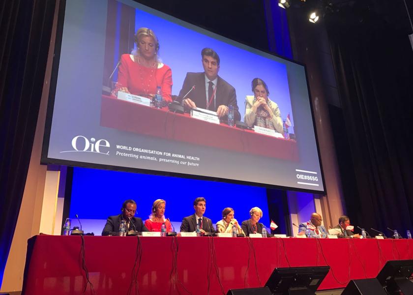 The panel, “Establishing trust in the multilateral trade system through transparency and Standard’s implementation monitoring,” hosted by the OIE on 22 May 2018.


