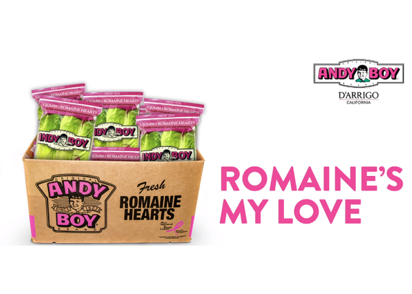 Romaine Hearts - Andy Boy