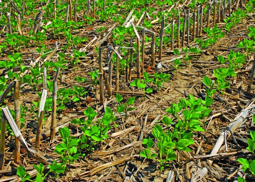 As a possible policy shift may put sustainable farming practices in the spotlight, companies are already paying farmers to shift to more "climate smart farming" like utilizing no-till as a production method.