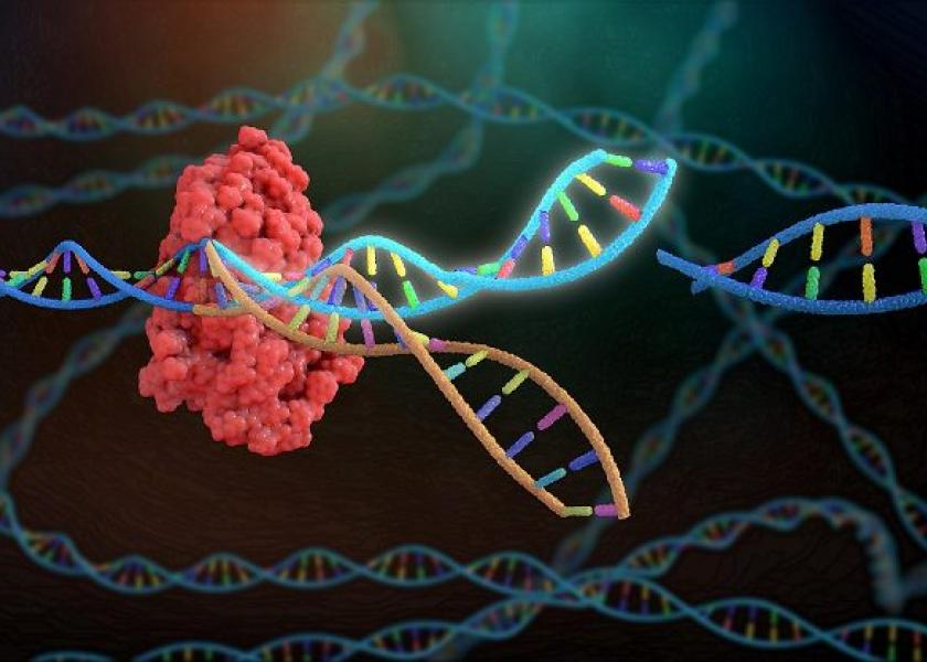 Genome editing technology has tremendous potential for quickly and accurately introducing desirable traits for productivity, health, fertility, animal welfare, food quality and safety in livestock populations.