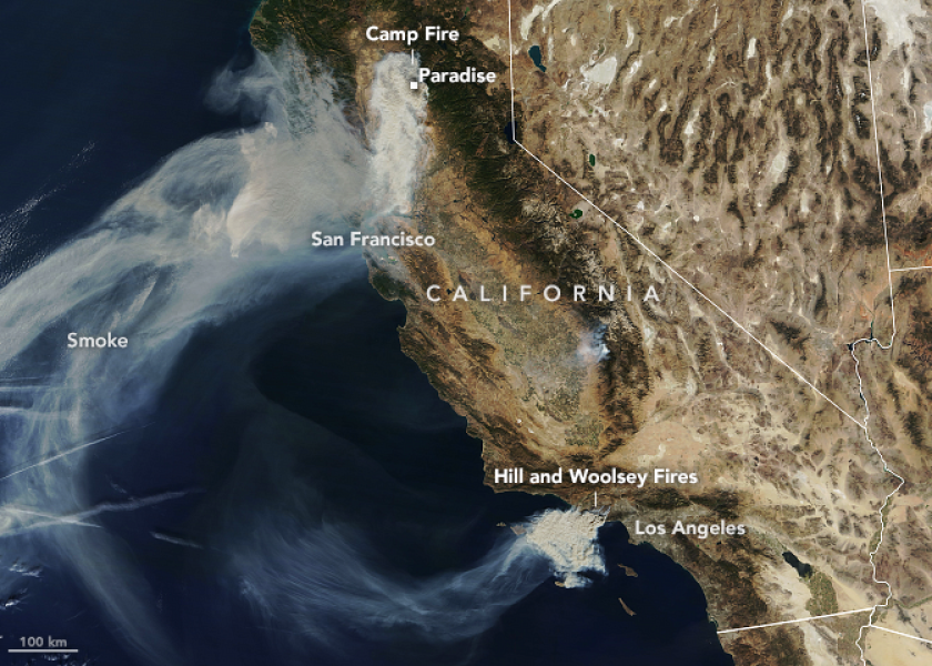 This fall's fires in California have injured or displaced unknown numbers of pets, livestock and wild animals.