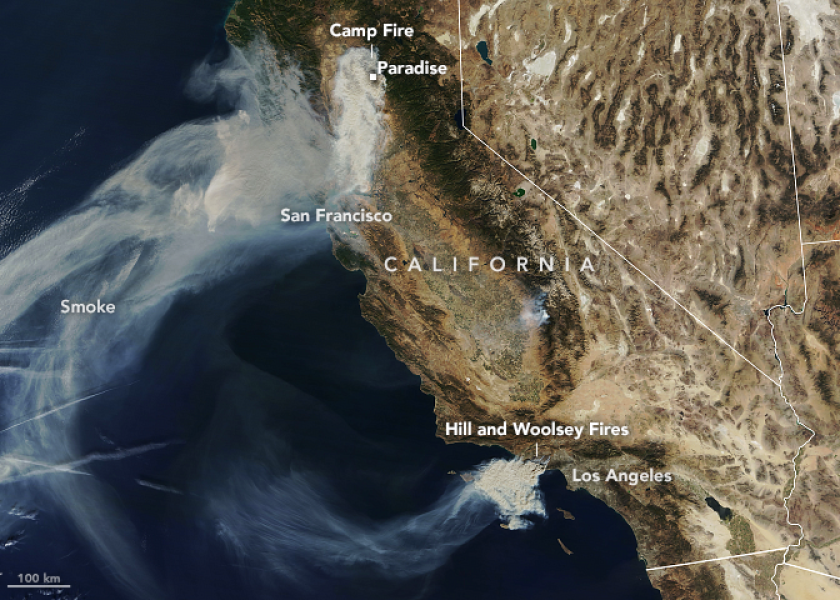 This fall's fires in California have injured or displaced unknown numbers of pets, livestock and wild animals. 