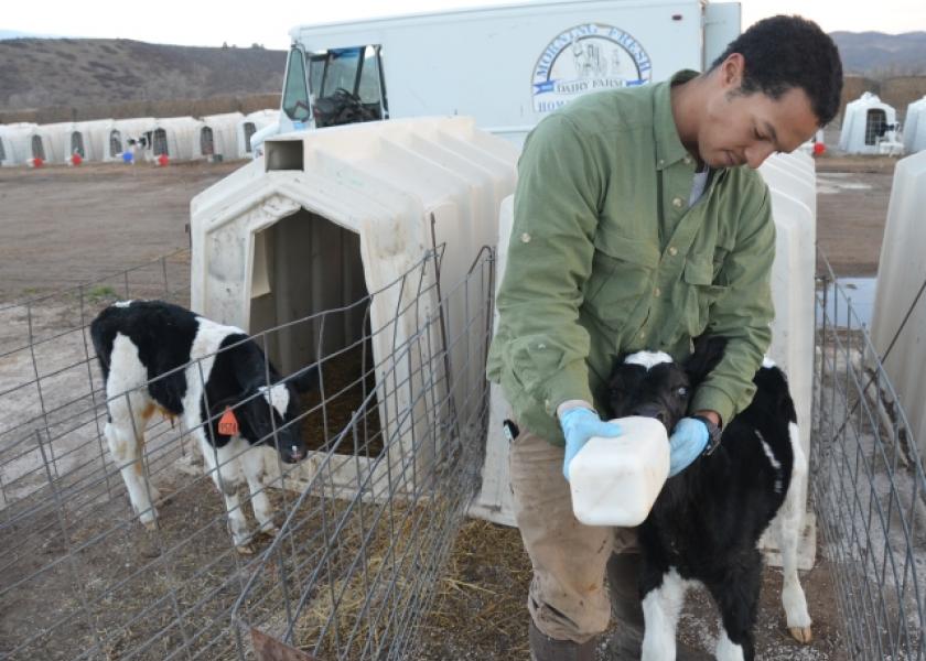 Providing free choice water to newborn calves has been shown to deliver a wide array of benefits in terms of calf health and performance. But it’s also a huge challenge for some farms in the winter.