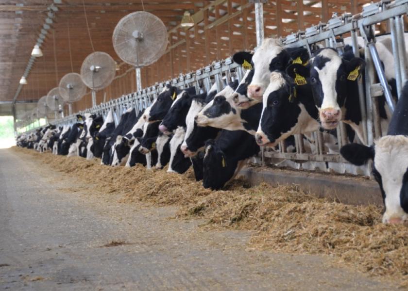 An Inside Look at 2,500+ Cow Dairies: 70 pounds, $1.4M profit | Dairy Herd