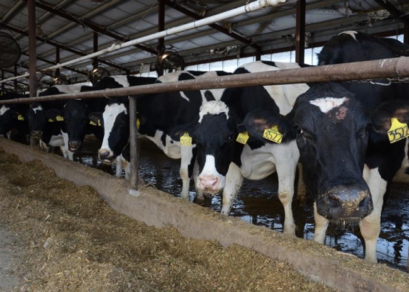 Nebraska Dairies Experience Decreased Demand | Dairy Herd