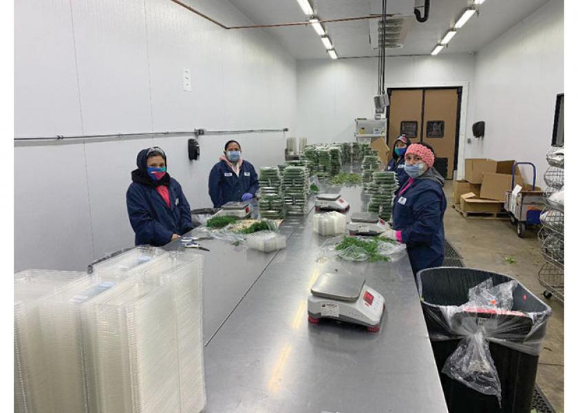 Workers at Coosemans-Denver are set to resume packing retail herbs in clamshells for a major supermarket chain. Coosemans is a specialty produce supplier that offers hundreds of products, including ginger, shallots and fresh culinary herbs, says Garrick Macek, vice president of operations.