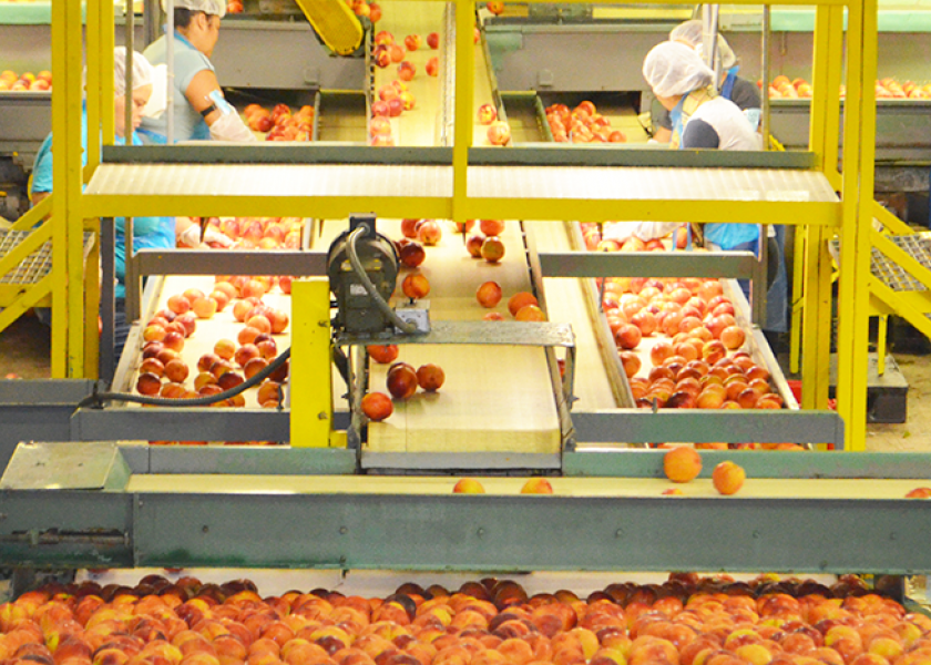 Packing facility tour highlights NJ peach harvest