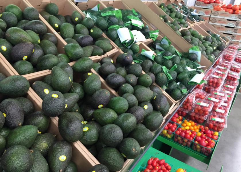 Coronavirus causes uncertainty with California avocado crop