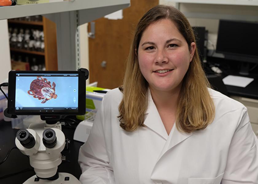 Kathryn Reif, assistant professor in diagnostic medicine and pathobiology at the Kansas State University College of Veterinary Medicine, is leading a project that focuses on optimizing antimicrobial use to control active infection of the hemoparasitic pathogen, Anaplasma marginale, the causative agent of bovine anaplasmosis.