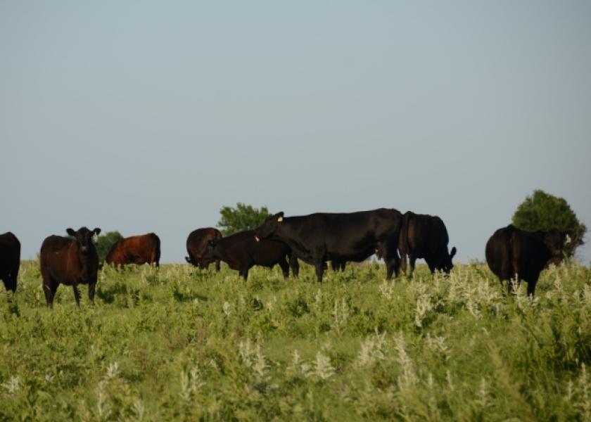 It is imperative that the landlord and tenant talk about any remedies to the lease prior to the start of the grazing season. 