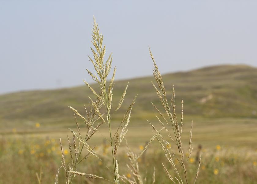 These programs are not meant to take the place of on-the-ground monitoring and management, but they provide tools for the rancher tool kit to assist in the adaptive management of rangelands. 