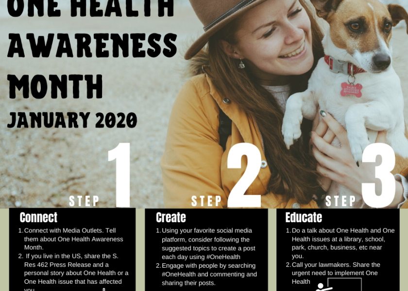 One Health focuses on the linkages between human, animal and environmental health and the need to develop comprehensive solutions.