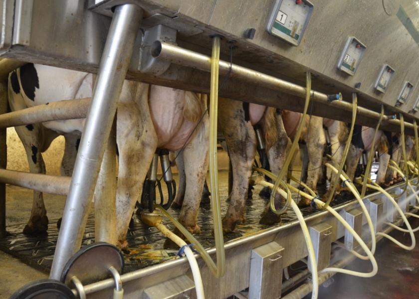 Dickrell's Diary: Even With Lower Premiums, Milk Quality Pays