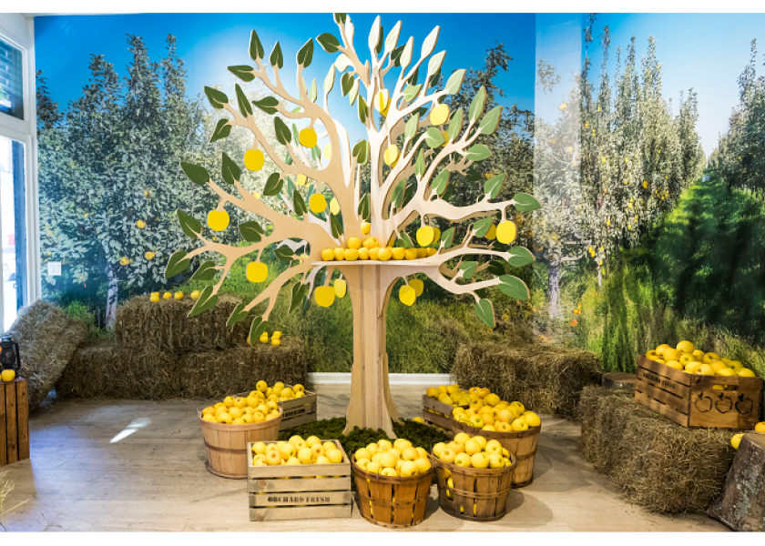 Opal apple ‘orchard’ opens in New York
