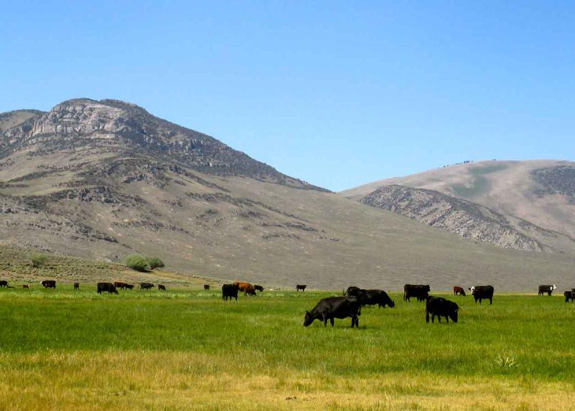 Lost Peaks Ranch