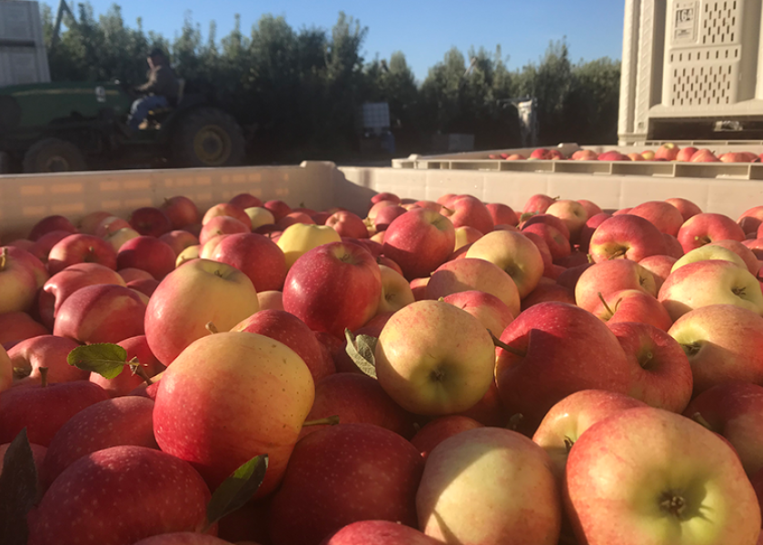 Washington Fruit & Produce, Yakima Fresh merge The Packer